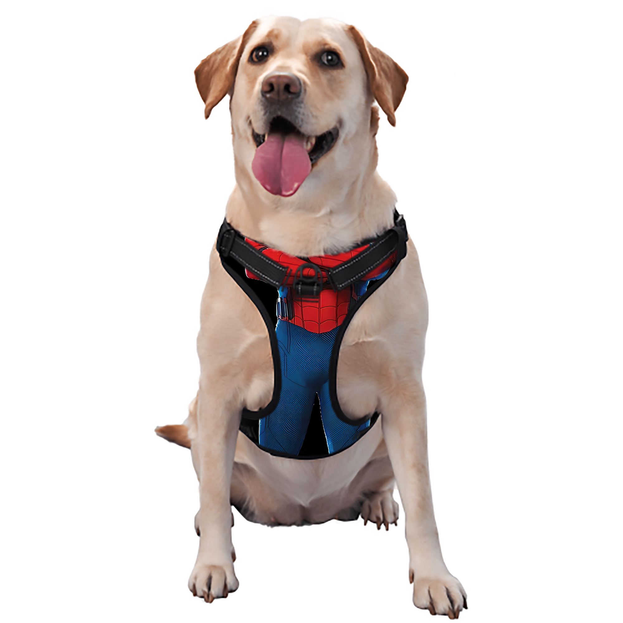 （画像用） Spider Man スパイダーマン ペット用ハーネス